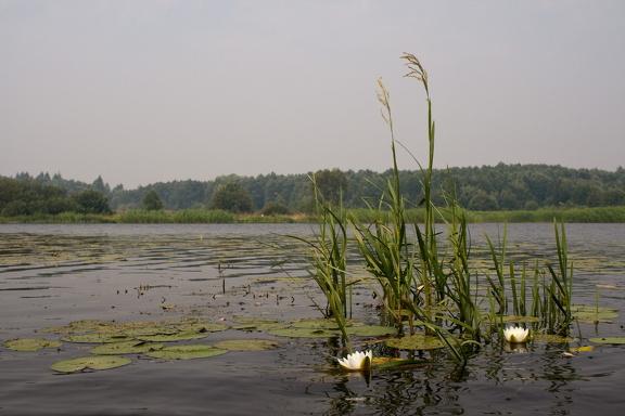 Колкуново